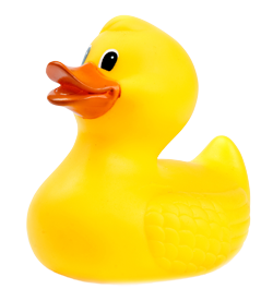 ente